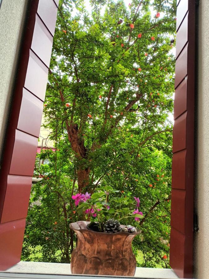 Il Melograno Hotel Vittorio Veneto Eksteriør billede